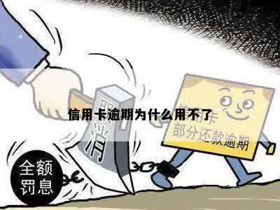 信用卡逾期为什么用不了