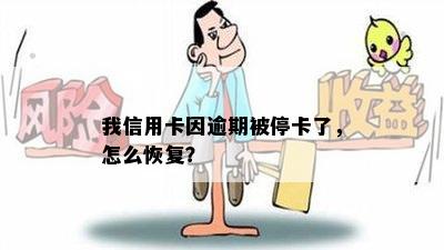 我信用卡因逾期被停卡了，怎么恢复？