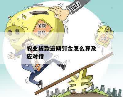 农业贷款逾期罚金怎么算及应对措