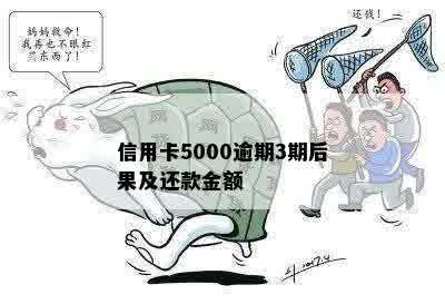 信用卡5000逾期3期后果及还款金额