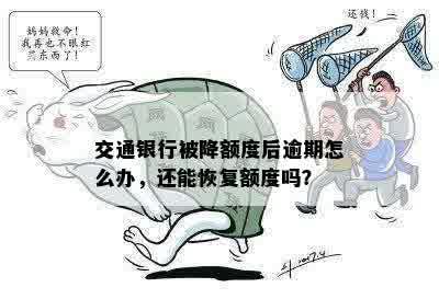 交通银行被降额度后逾期怎么办，还能恢复额度吗？