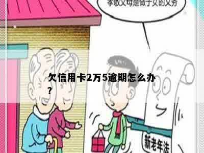 欠信用卡2万5逾期怎么办？