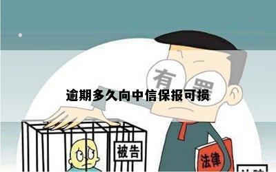 逾期多久向中信保报可损