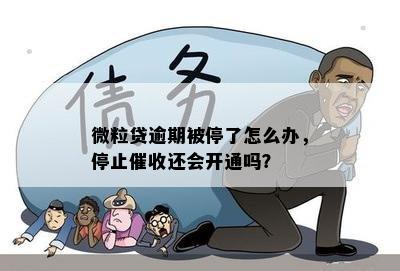 微粒贷逾期被停了怎么办，停止催收还会开通吗？