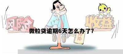 微粒贷逾期6天怎么办了？