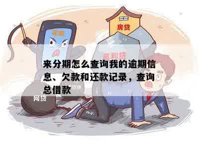 来分期怎么查询我的逾期信息、欠款和还款记录，查询总借款