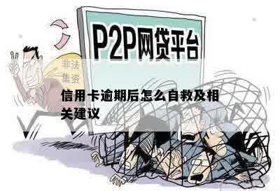 信用卡逾期后怎么自救及相关建议