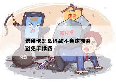 信用卡怎么还款不会逾期并避免手续费