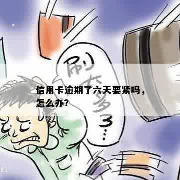 信用卡逾期了六天要紧吗，怎么办？