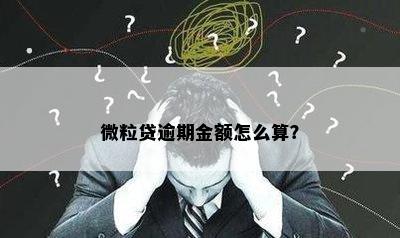 微粒贷逾期金额怎么算？