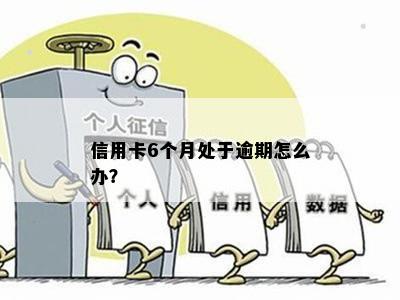 信用卡6个月处于逾期怎么办？