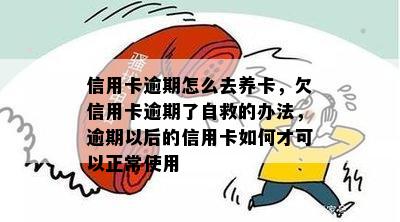 信用卡逾期怎么去养卡，欠信用卡逾期了自救的办法，逾期以后的信用卡如何才可以正常使用