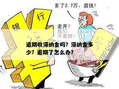 逾期收滞纳金吗？滞纳金多少？逾期了怎么办？