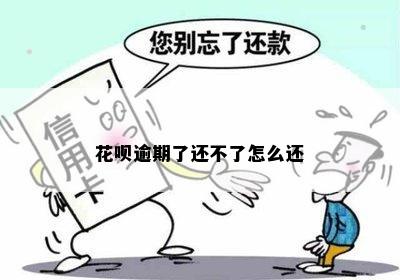 花呗逾期了还不了怎么还