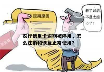 农行信用卡逾期被停用，怎么注销和恢复正常使用？