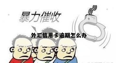 外汇信用卡逾期怎么办