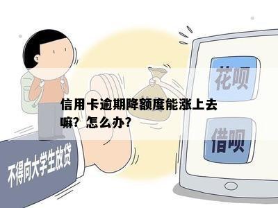 信用卡逾期降额度能涨上去嘛？怎么办？