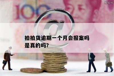 拍拍贷逾期一个月会报案吗是真的吗？