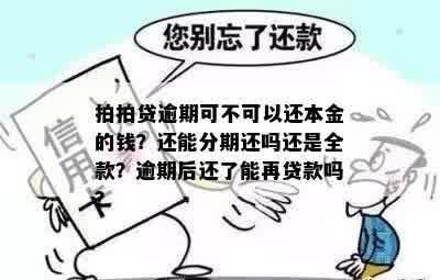 拍拍贷逾期可不可以还本金的钱？还能分期还吗还是全款？逾期后还了能再贷款吗？