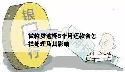 微粒贷逾期5个月还款会怎样处理及其影响