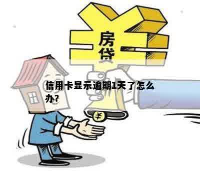 信用卡显示逾期1天了怎么办？