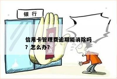 信用卡管理费逾期能消除吗？怎么办？