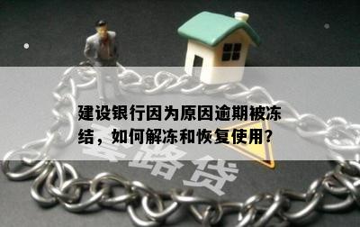 建设银行因为原因逾期被冻结，如何解冻和恢复使用？