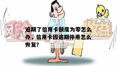 逾期了信用卡额度为零怎么办，信用卡因逾期停用怎么恢复？