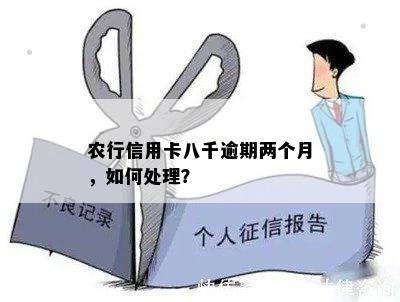 农行信用卡八千逾期两个月，如何处理？