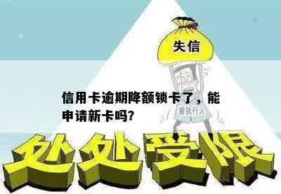 信用卡逾期降额锁卡了，能申请新卡吗？