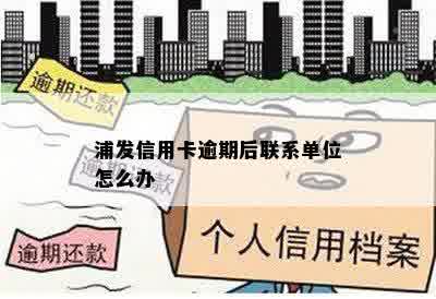 浦发信用卡逾期后联系单位怎么办