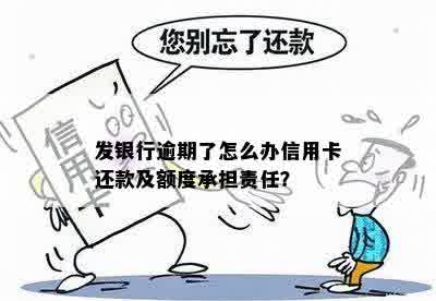 发银行逾期了怎么办信用卡还款及额度承担责任？