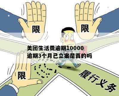 美团生活费逾期10000逾期3个月已立案是真的吗