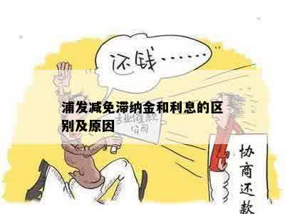 浦发减免滞纳金和利息的区别及原因