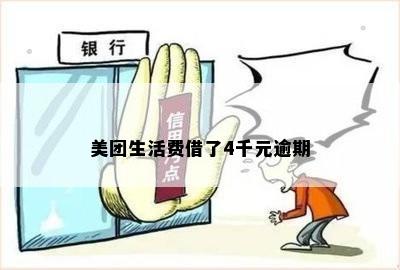 美团生活费借了4千元逾期