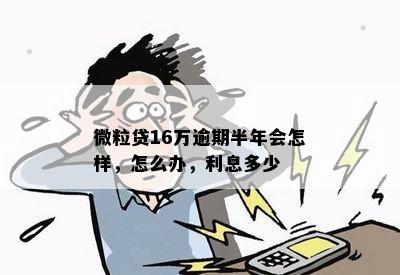 微粒贷16万逾期半年会怎样，怎么办，利息多少