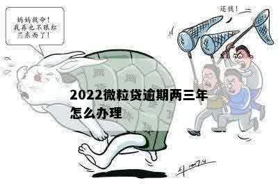 2022微粒贷逾期两三年怎么办理