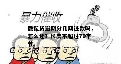 微粒贷逾期分几期还款吗，怎么还？长度不超过70字节。