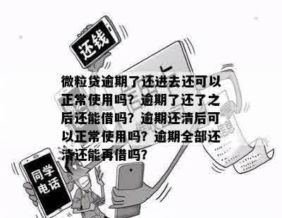 微粒贷逾期了还进去还可以正常使用吗？逾期了还了之后还能借吗？逾期还清后可以正常使用吗？逾期全部还清还能再借吗？