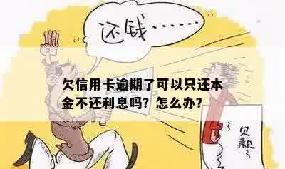 欠信用卡逾期了可以只还本金不还利息吗？怎么办？