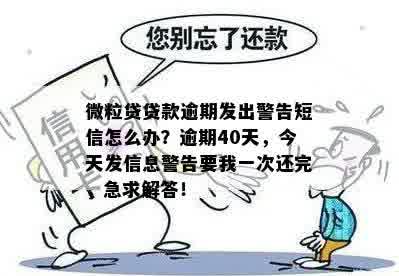 微粒贷贷款逾期发出警告短信怎么办？逾期40天，今天发信息警告要我一次还完，急求解答！