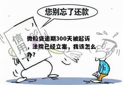 微粒贷逾期300天被起诉，法院已经立案，我该怎么办？