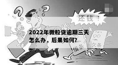 2022年微粒贷逾期三天怎么办，后果如何？