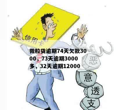 微粒贷逾期74天欠款3000，73天逾期3000多，32天逾期12000