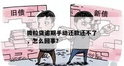 微粒贷逾期手动还款还不了，怎么回事？