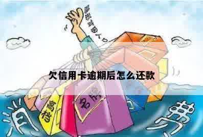 欠信用卡逾期后怎么还款