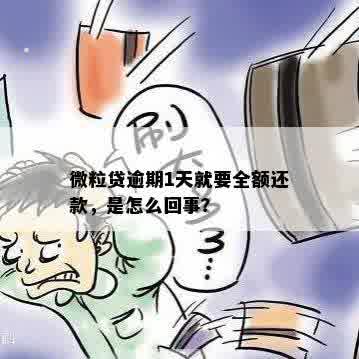 微粒贷逾期1天就要全额还款，是怎么回事？