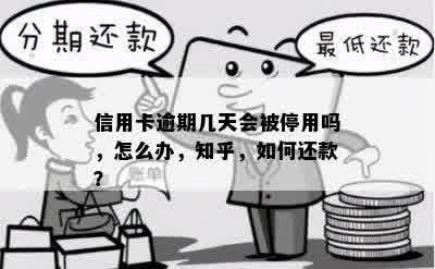 信用卡逾期几天会被停用吗，怎么办，知乎，如何还款？