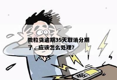 微粒贷逾期35天取消分期了，应该怎么处理？