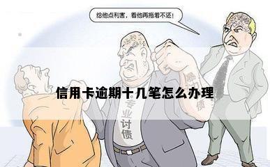 信用卡逾期十几笔怎么办理